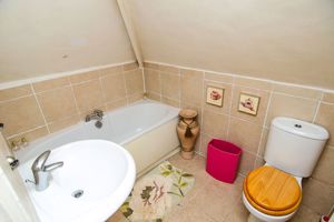 Photo 24- click for photo gallery